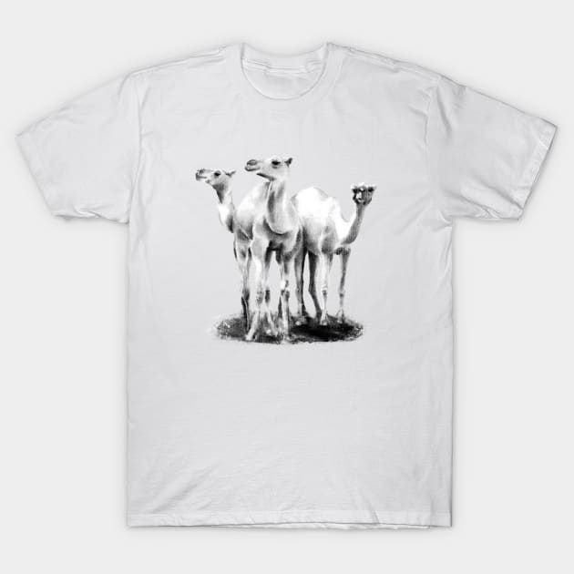 Trio of camels T-Shirt by rainetteillus